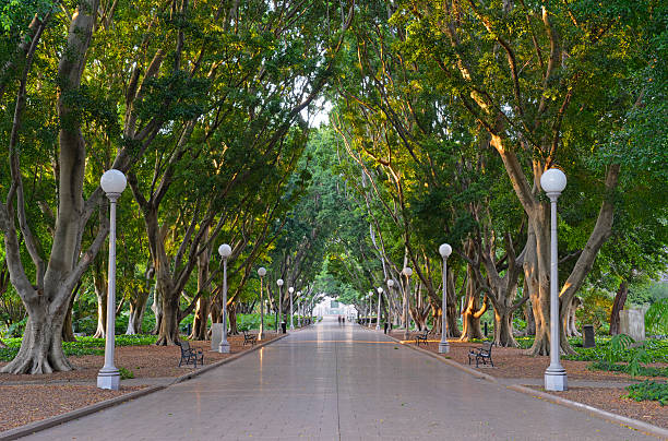 hyde park, sydney, australia - hyde park fotografías e imágenes de stock