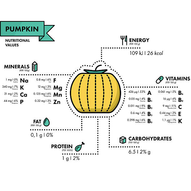 kürbis-nährwertangaben. gesunde ernährung. - nutritional analysis stock-grafiken, -clipart, -cartoons und -symbole