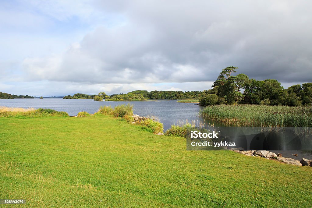 Ross Bay Lago Lough Leane Lower Lake. - Foto stock royalty-free di Ambientazione esterna