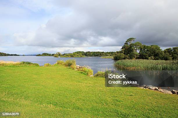 Ross Bay Lago Lough Leane Lower Lake - Fotografie stock e altre immagini di Ambientazione esterna - Ambientazione esterna, Anello di Kerry, Collina