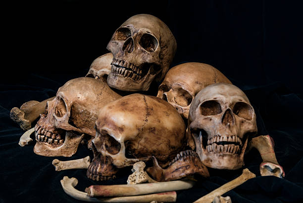 istock Pile of skulls and bones on black fabric 528443138