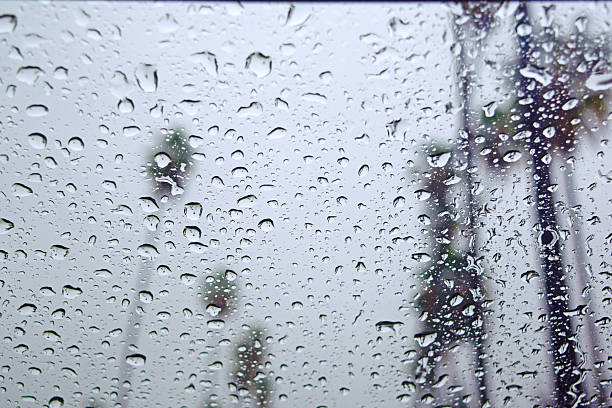 istock Rainy Days in Los Angeles 528443237