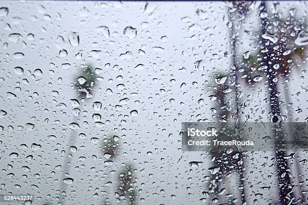 Rainy Days In Los Angeles Stock Photo - Download Image Now - Rain, City Of Los Angeles, Los Angeles County