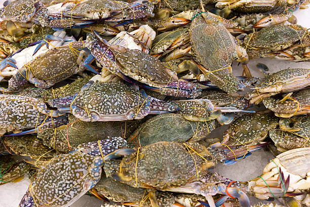 istock Fresh crabs on dispaly for sale during Sabah 528445186