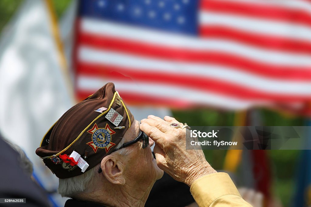 Veterans Saluting Veteran Salutes the US Flag Veteran Stock Photo