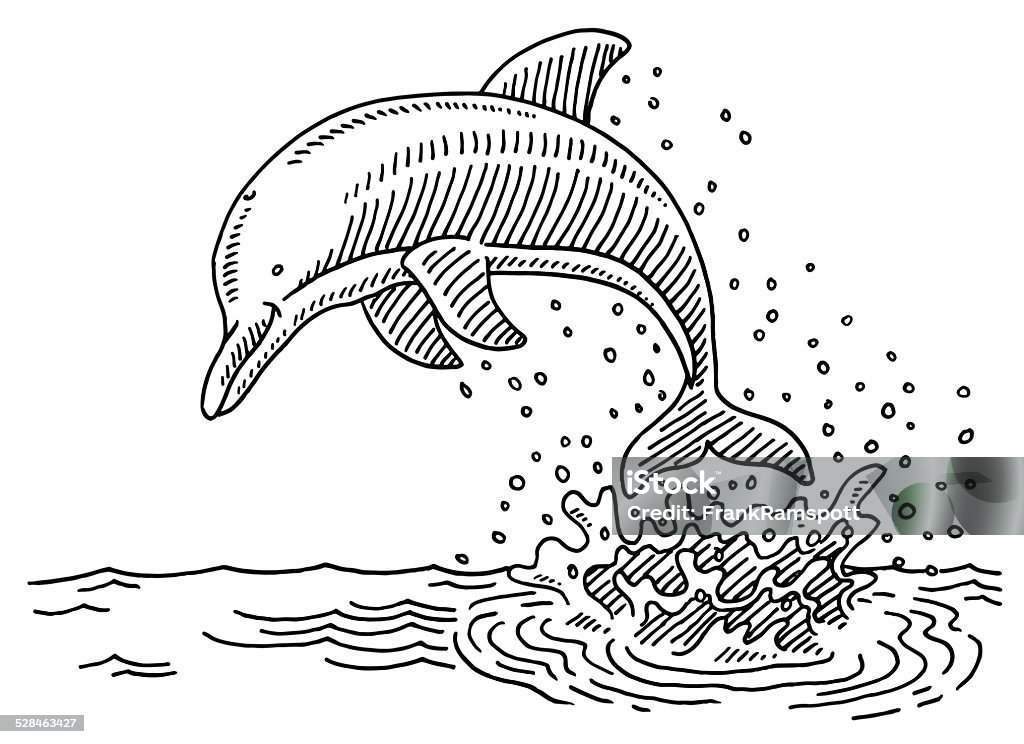 Jumping Dolphin Sea Water Splash Drawing Hand-drawn vector drawing of a Jumping Dolphin at the Sea and a Water Splash. Black-and-White sketch on a transparent background (.eps-file). Included files are EPS (v10) and Hi-Res JPG. Dolphin stock vector
