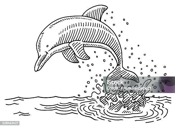 Jumping Dolphin Sea Water Splash Drawing Stock Illustration - Download Image Now - Dolphin, Water, Splashing