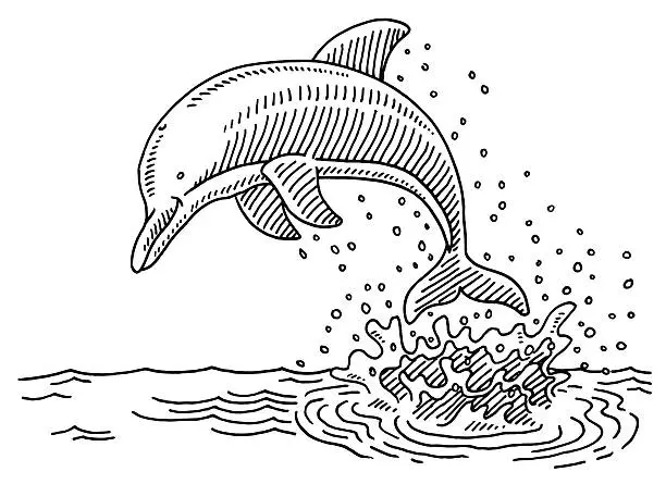 Vector illustration of Jumping Dolphin Sea Water Splash Drawing