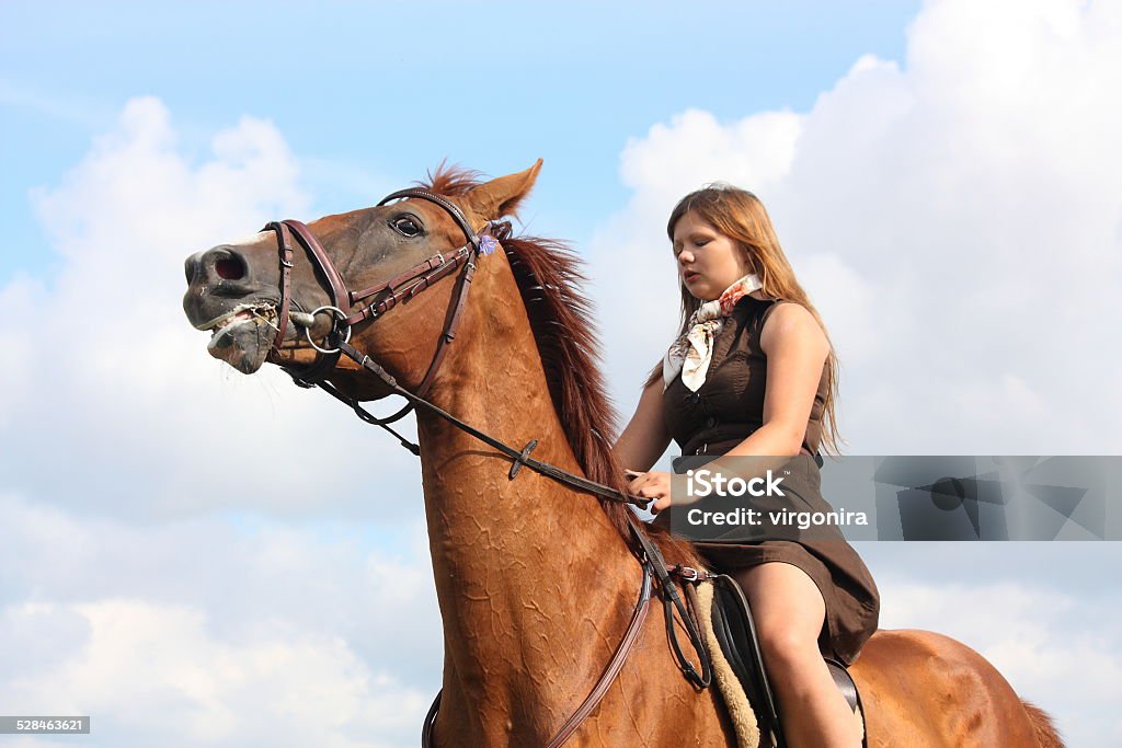 Girl and horse portrait on sky background Girl and horse portrait on sky background on sunny day Adult Stock Photo