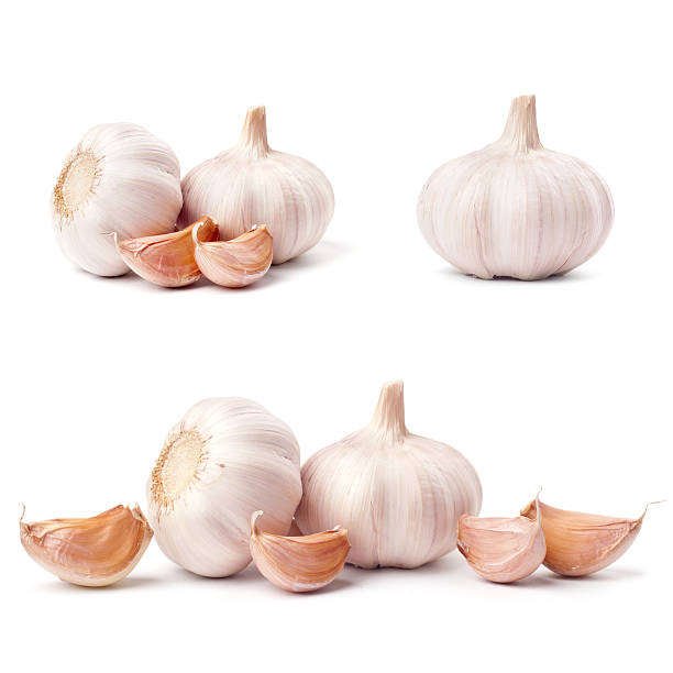 set di aglio isolato su sfondo bianco - garlic foto e immagini stock