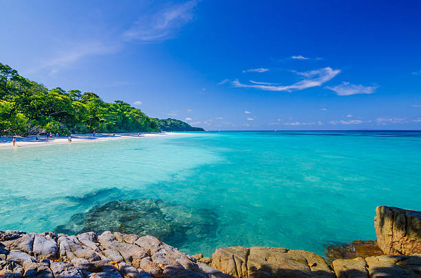 istock Beautiful sea and beach at Ta Chai, Similan, Thailand 528467943