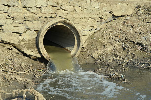 istock Water pollution in river, dirty drain. 528474714