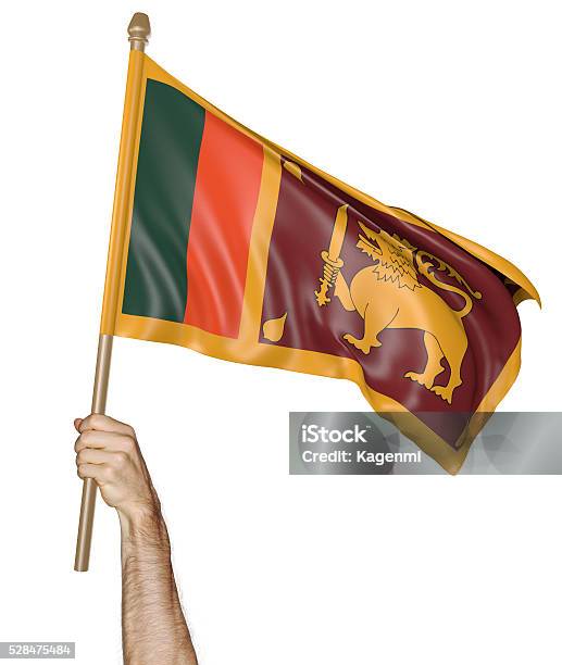 Hand Proudly Waving The National Flag Of Sri Lanka Stock Photo - Download Image Now - Activist, Authority, Colors