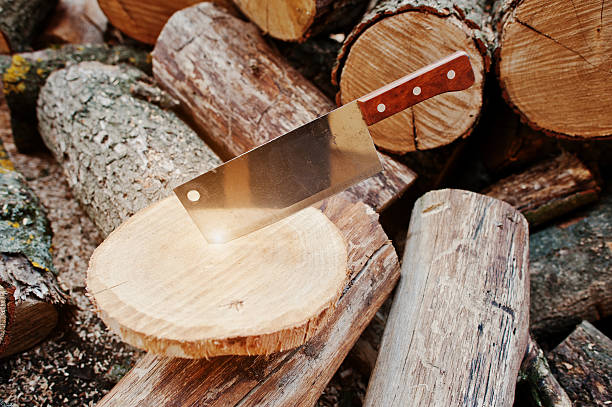 istock Kitchen hatchet knife machete at stump background chopped firewood. 528476170