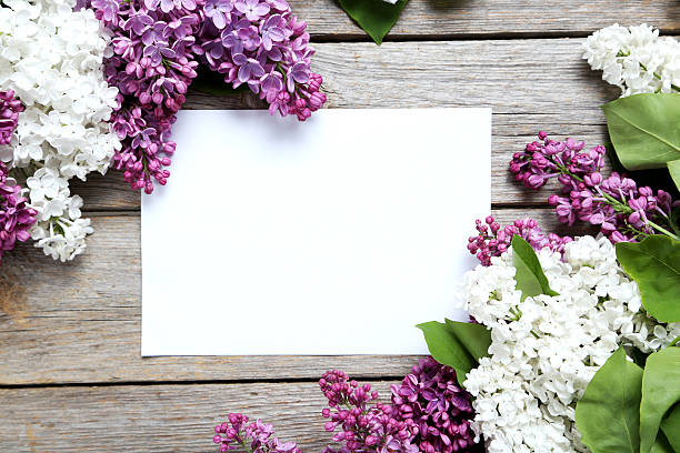istock Blooming lilac flowers on a grey wooden table 528478506