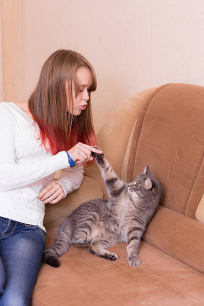 istock girl playing with the cat 528479490