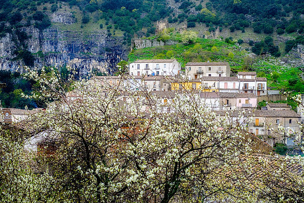 istock Panorama of Cerchiara di Calabria 528479504