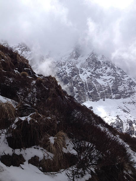 Annapurna Base Camp, ABC trek, Himalayas, Nepal