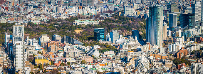 Aerial view across the roads and rooftops, crowded city blocks and soaring skyscrapers of central Tokyo, Japan. ProPhoto RGB profile for maximum color fidelity and gamut.