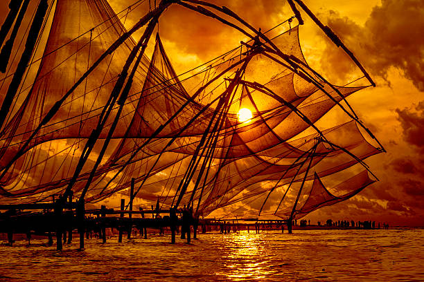 Chinese fishing net, Kochi, Kerala- India. Chinese fishing nets are fishing nets that are fixed land installations for fishing, which are used for a very unique and unusual method of fishing. Operated from the shore, these nets are set up on bamboo and teak poles and held horizontally by huge mechanisms, which lower them into the sea. kochi india stock pictures, royalty-free photos & images