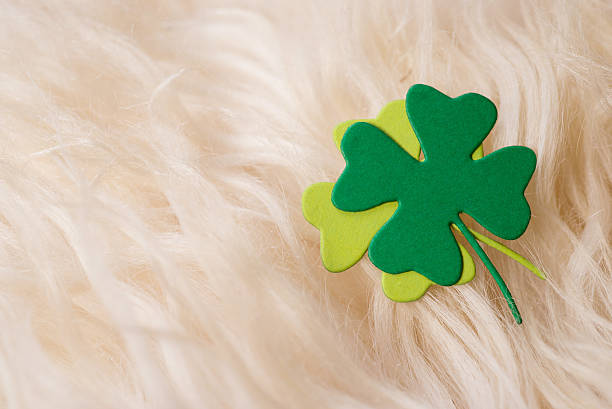istock green clover symbol on sheep's clothing 528483990