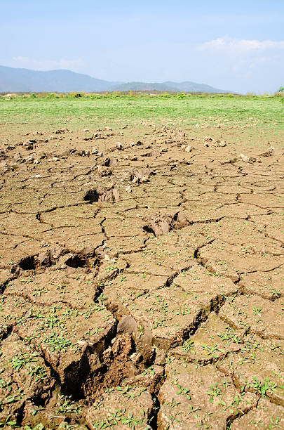 istock Drought land against a blue sky with trail 528484202