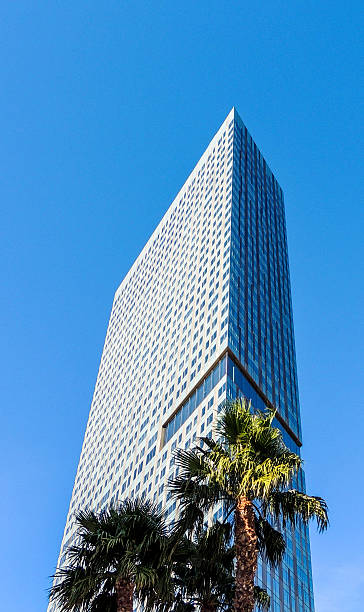 istock Modern glass office building and palm trees 528484604