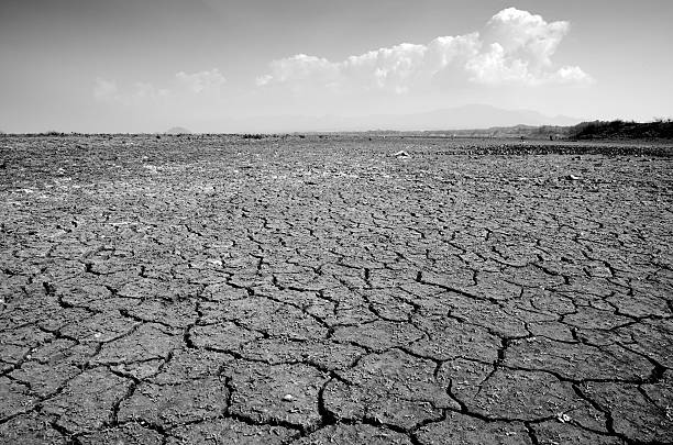 istock Drought land against a blue sky with clouds 528488702