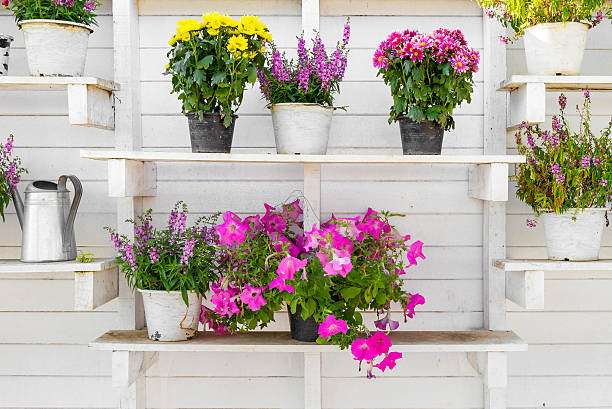 vários preto e branco vasos de flores ver a excluir - flower pot vase purple decor imagens e fotografias de stock