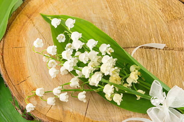 istock Lily of the valley 528493382