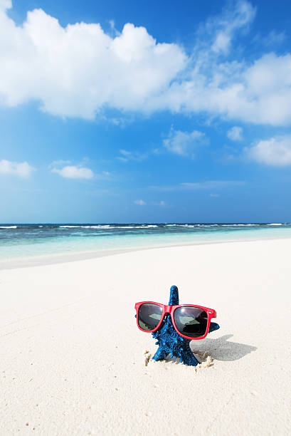istock Blue starfish standing on white sandy beach with sunglasses 528494168