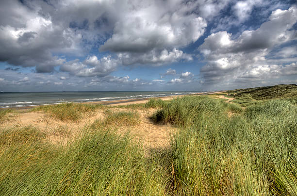 istock Dunes in Holland 528494195