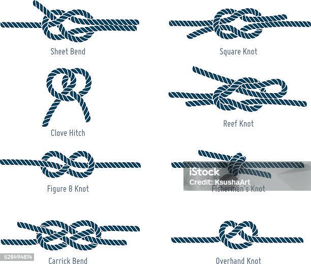 Nautical Rope Knots-vektorgrafik och fler bilder på Knut - Knut, Rep, Knyta