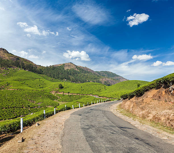 istock Green tea plantations in Munnar, Kerala, India 528495349
