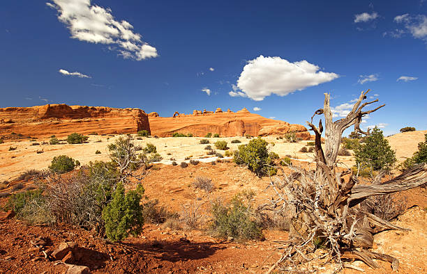 istock delicate arch viewpoint in arches national park, utah 528495966