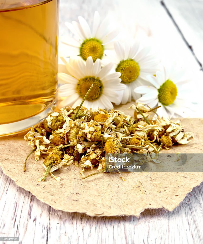 Chamomile dried on paper with glass mug Dried chamomile flowers on paper, tea in glass mug, fresh daisy flowers on a background of pale wooden plank Alternative Therapy Stock Photo