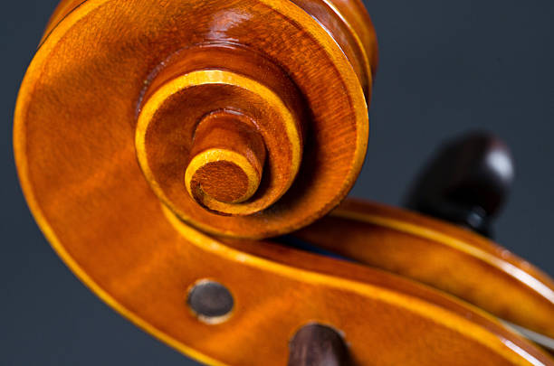 istock wooden violin head 528497058