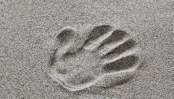 istock Footprint in the sand. 528499082
