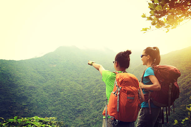 istock two successful hikers enjoy the view on mountain peak 528499480