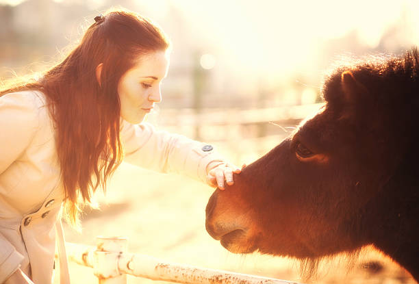 istock Young woman stroking pony in mini zoo 528499573