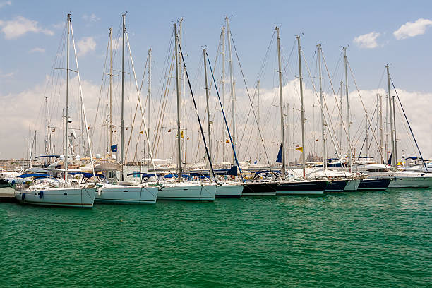 voile yachts dans le port. - single flower sailboat harbor pier photos et images de collection