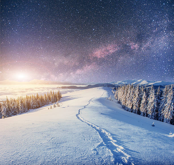 istock starry sky in winter snowy night. 528500164