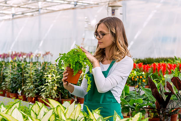 istock Taking care of plants 528502078