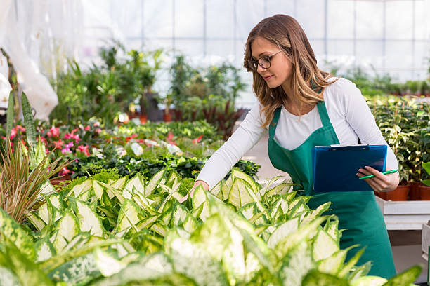 istock Making a List of plants 528502578