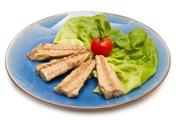istock fillet of mackerel 528504578