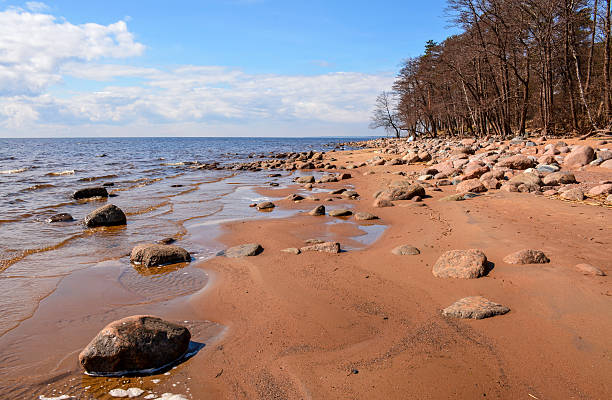 istock Gulf of Finland 528505402