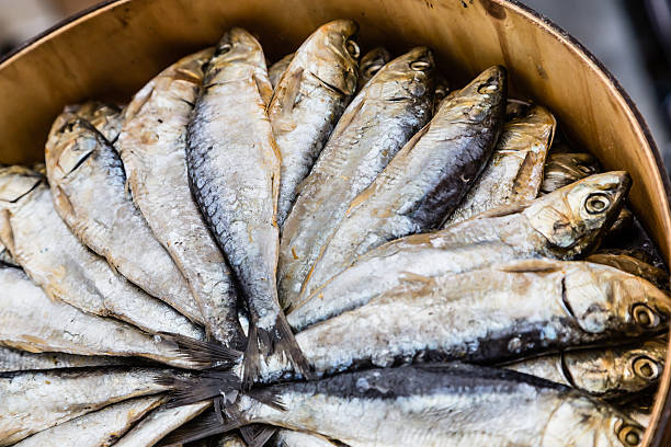 Sardines stock photo