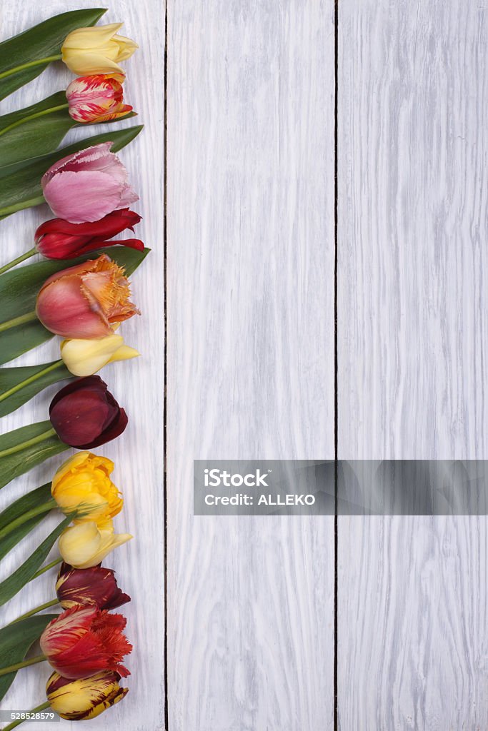 Festive frame of flowers tulips on the wooden background Arrangement Stock Photo