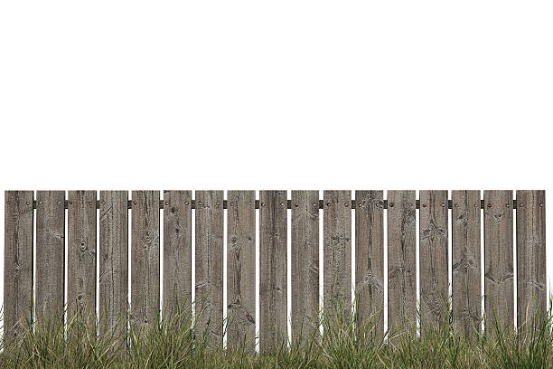 istock Wooden Fence with Green Grass Isolated on White 528530059