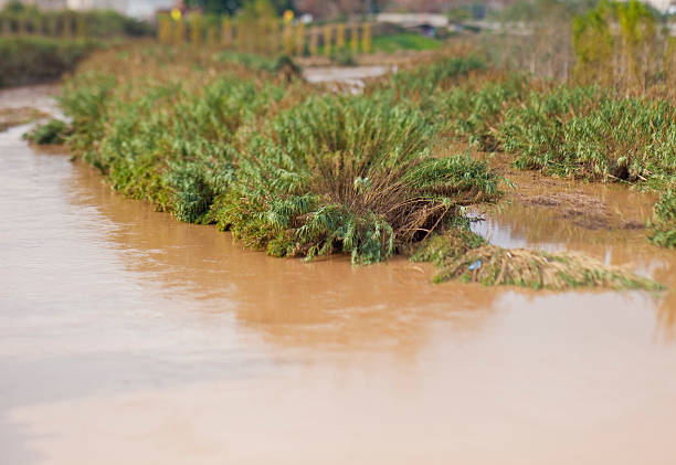 riviere muletas no rio - redbed imagens e fotografias de stock